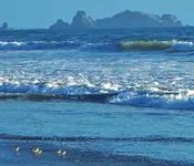 DSCN0834.webp