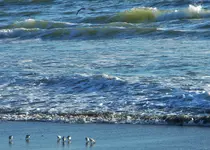 DSCN0847.webp