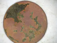 1949 Wheatie.webp 1949 Wheatie.webp