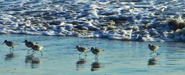 DSCN0843.webp
