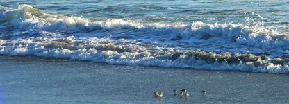 DSCN0845.webp