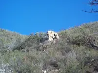 100_8892.webp