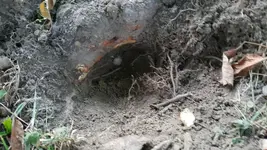 image.webp