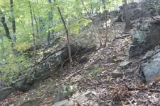 trail.webp