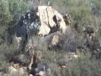 100_8891.webp