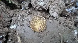 coin.webp