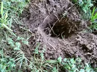 20160827_114508.webp