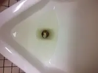 ImageUploadedByTreasureNet.com1475786156.287899.webp