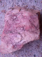 rocks 007.webp rocks 007.webp