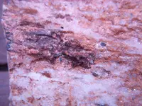 rocks 005.webp rocks 005.webp
