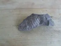 DSCF1329.webp