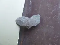 DSCF1332.webp
