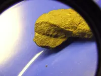 DSCF1393.webp