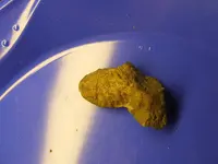 DSCF1402.webp