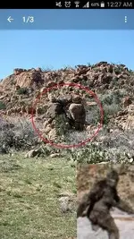 rocks.webp