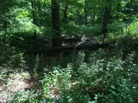 IMG_0987.webp IMG_0987.webp