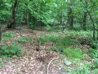 IMG_0988 (1).webp IMG_0988 (1).webp