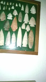 IMG_20151002_203851567.webp