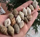ImageUploadedByTreasureNet.com1471594353.507887.webp ImageUploadedByTreasureNet.com1471594353.507887.webp