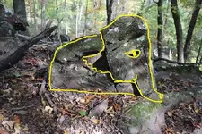 full elephant.webp