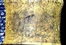 closeup.webp