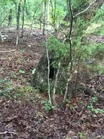 ImageUploadedByTreasureNet.com1471614866.477165.webp