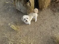stump 3.webp