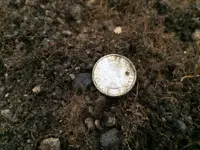 ImageUploadedByTreasureNet.com1473121629.542974.webp