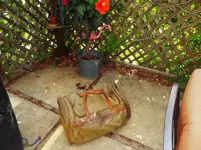 duffle 1.webp