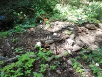 20160819_133041.webp
