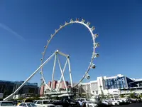 mine expo 1.webp
