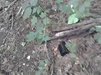 20160819_133436.webp