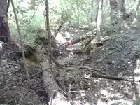 20160819_132916.webp