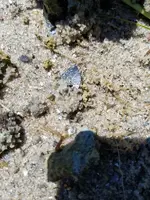 20160903_143841.webp