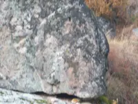 100_4135.webp