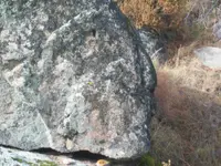 100_4137.webp
