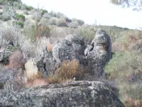 100_4133.webp