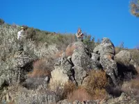 100_4055.webp