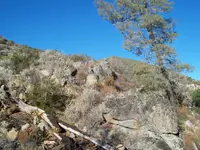 100_4052.webp