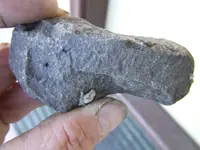 DSCF1152.webp