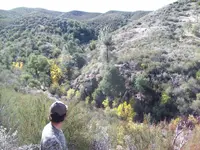 100_4161.webp