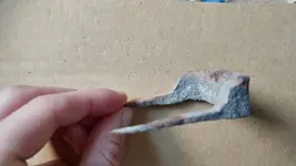 1470781976668.webp