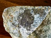 20160615_154205.webp