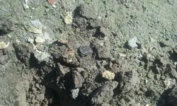 20160930_124018.webp