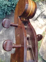 d7.webp
