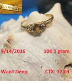 DocBeav 2016 Gold Ring #17.webp