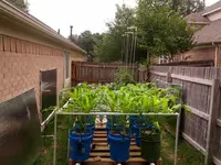 corn rack may 23.webp