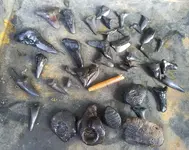 20160910_174357.webp