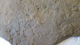 20160809_141447.webp