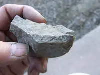 DSCF1138.webp